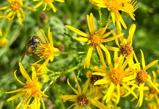 23-09-21 13-37-49 7206